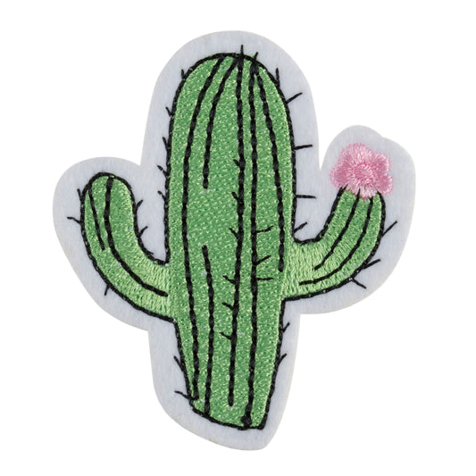 Cactus Patch