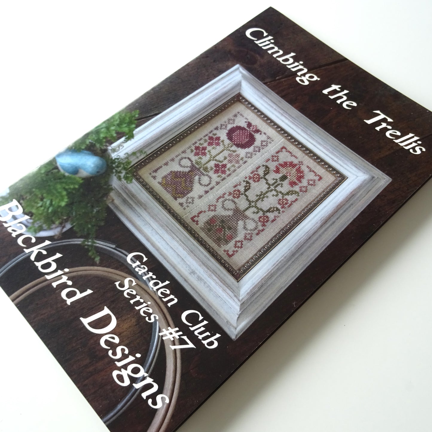 Climbing the Trellis - Garden Club Series #7