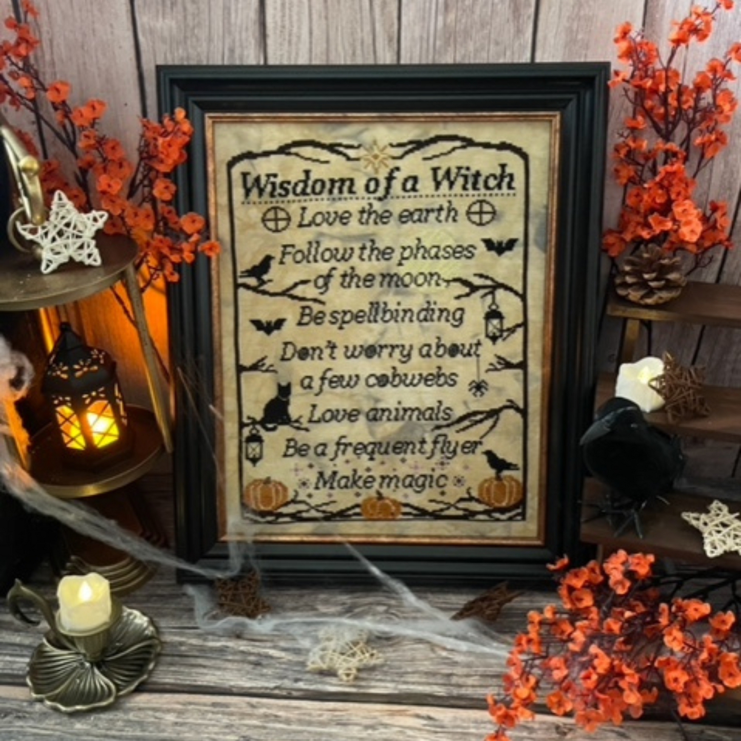Wisdom Of A Witch