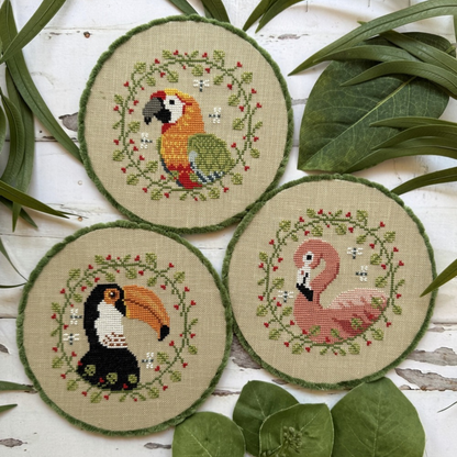 Tropical Birds Trio 2025