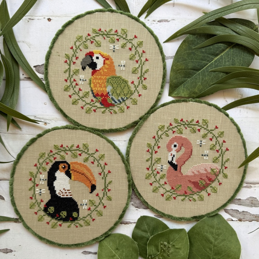 Tropical Birds Trio 2025