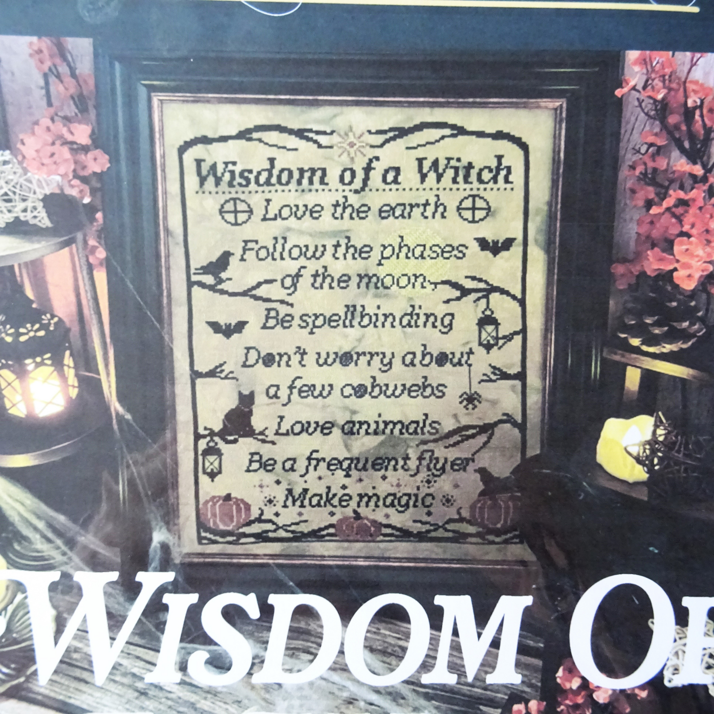 Wisdom Of A Witch