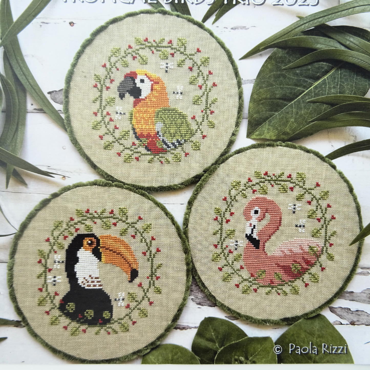 Tropical Birds Trio 2025